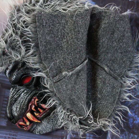 Amscan Hungry Wearwolf Howler Boys Halloween Costume Medium (8-10) - Picture 9 of 10